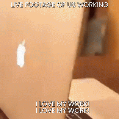 Cat typing on a laptop with the text I LOVE MY WORK!